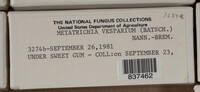 Image Associated With the Occurence